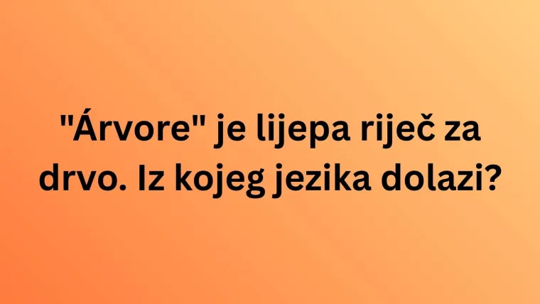 Genijalci sigurno mogu prepoznati europski jezik po samo jednoj riječi