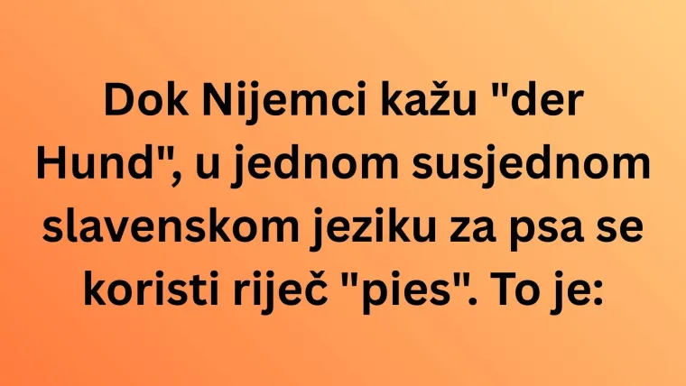 Genijalci sigurno mogu prepoznati europski jezik po samo jednoj riječi