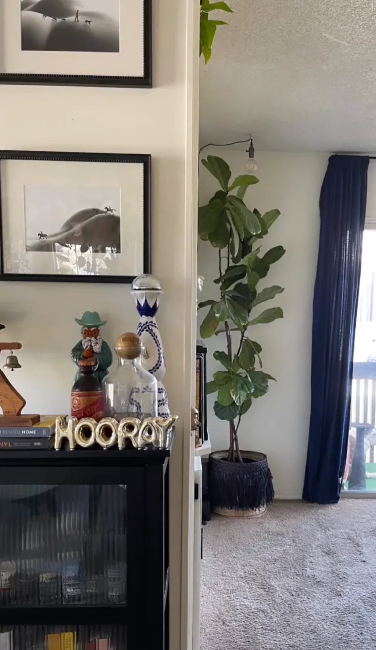 Od unajmljenog starog stana stvorila je predivnu oazu: Na preuređenje je potro&scaron;ila pravu siću