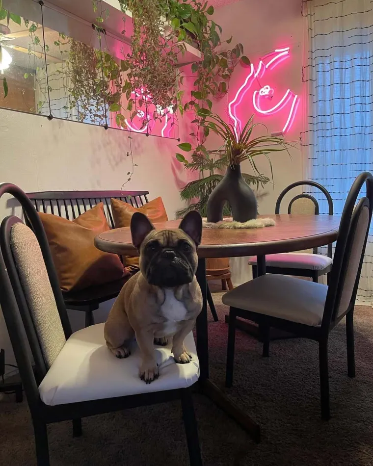 Od unajmljenog starog stana stvorila je predivnu oazu: Na preuređenje je potro&scaron;ila pravu siću