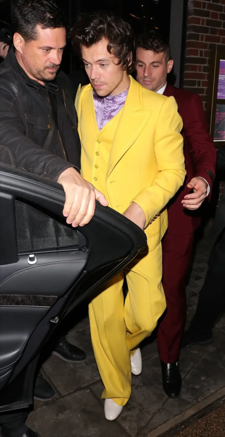 Od teen zavodnika do mu&scaron;karca koji nosi žensku odjeću: Ovako danas izgleda Harry Styles