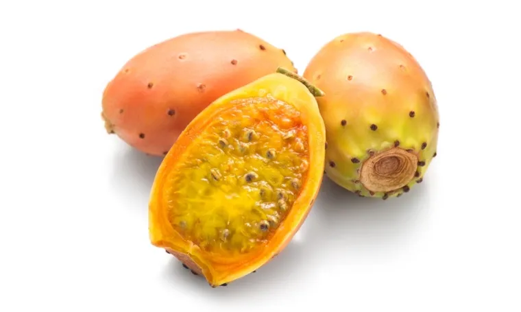 Ako voli&scaron; jesti voće, bez problema će&scaron; prepoznati egzotično, ali pazi jer pitanja nisu laka