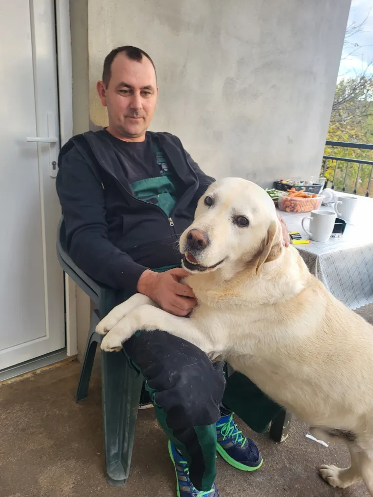 Velike crne oči i predivna gusta dlaka: Te&scaron;ko je odoljeti fotografijama va&scaron;ih labradora