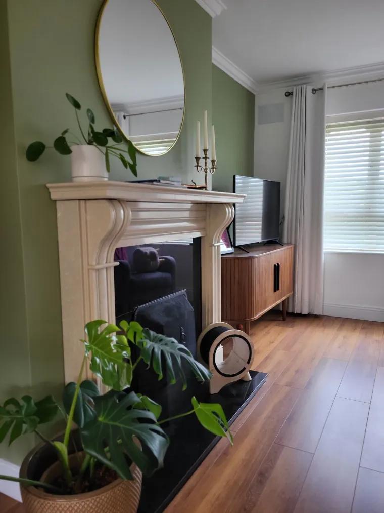 Obožavate ih: Izdvojili smo fotografije prekrasnih monstera koje ste nam poslali