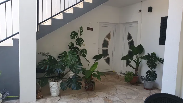 Obožavate ih: Izdvojili smo fotografije prekrasnih monstera koje ste nam poslali