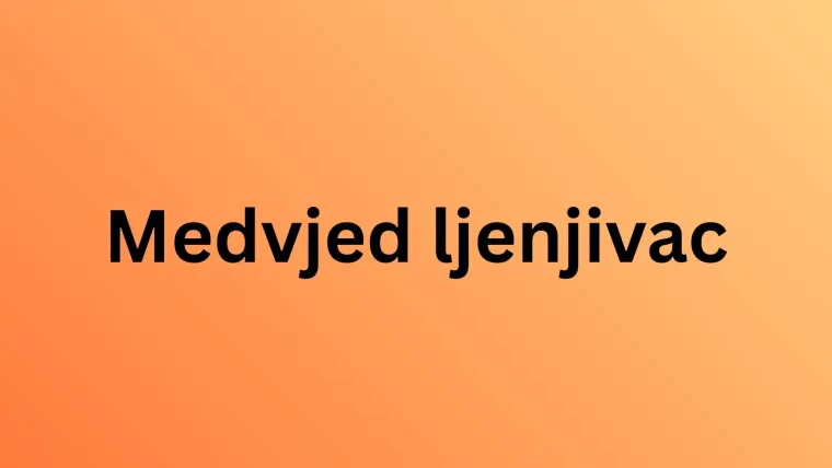 Treba&scaron; li biti stručnjak za životinje da prepozna&scaron; ove vrste medvjeda? Provjeri znanje na kvizu