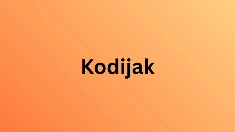 Treba&scaron; li biti stručnjak za životinje da prepozna&scaron; ove vrste medvjeda? Provjeri znanje na kvizu