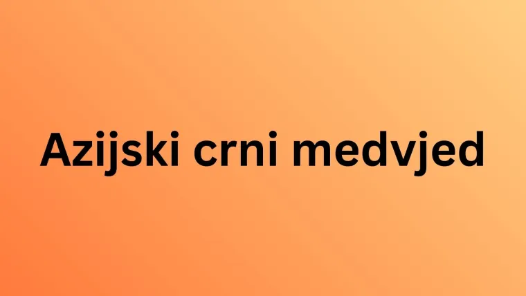 Treba&scaron; li biti stručnjak za životinje da prepozna&scaron; ove vrste medvjeda? Provjeri znanje na kvizu