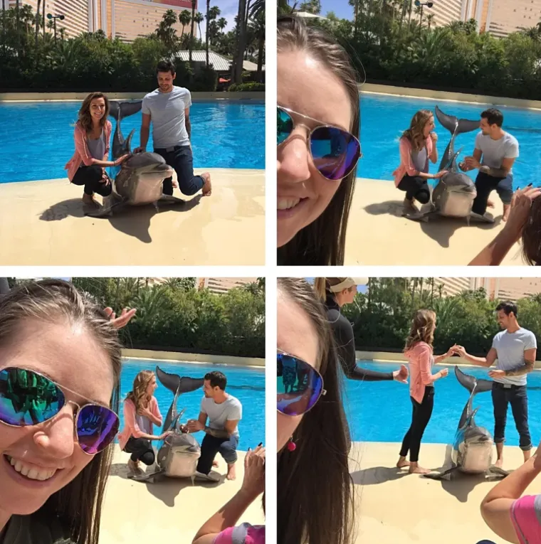 Objavili su fotke bez pažljivog pregleda, sada im se smije cijeli svijet: Iza njih je pravi urnebes