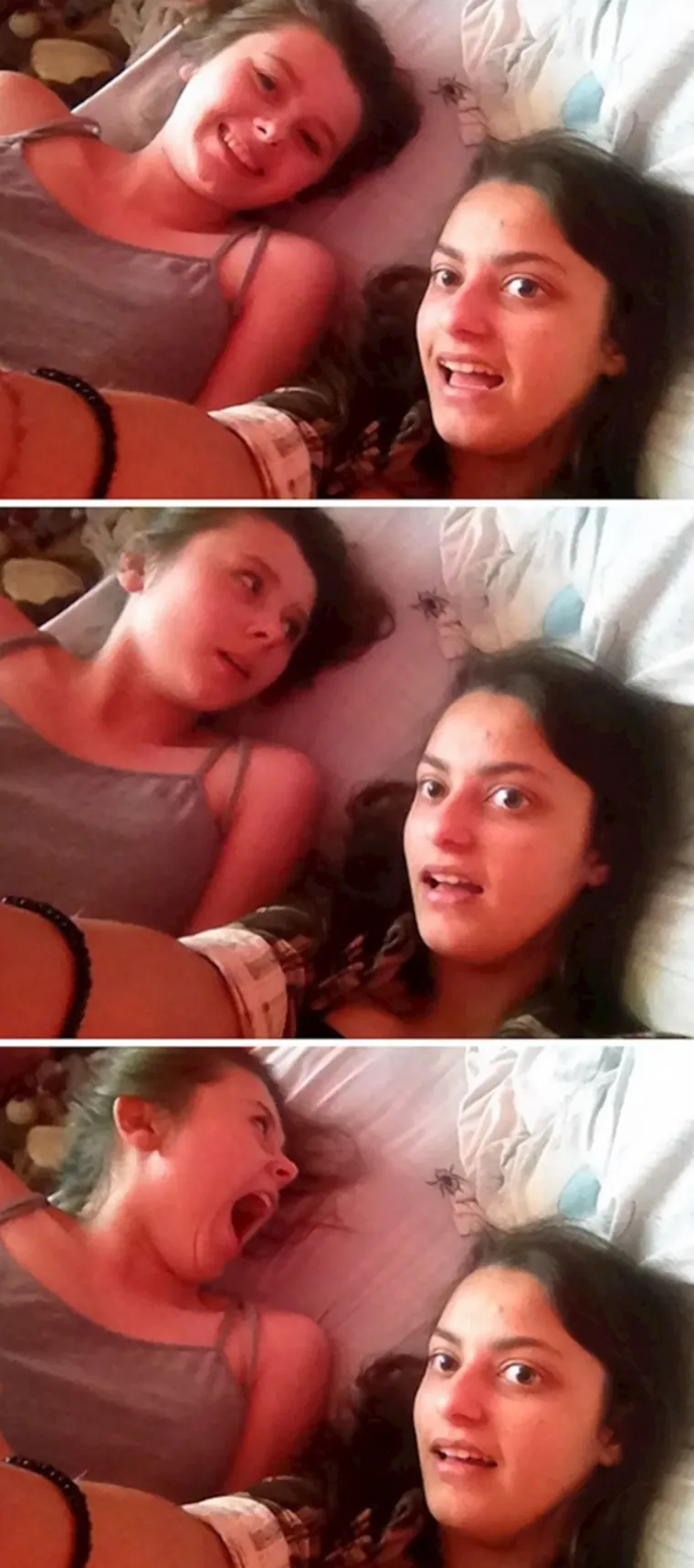 Objavili su fotke bez pažljivog pregleda, sada im se smije cijeli svijet: Iza njih je pravi urnebes