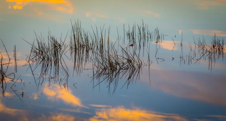 15 jezivih mjesta čudnih i neobja&scaron;njivih nestanaka ljudi: Istražite crne rupe na zemlji