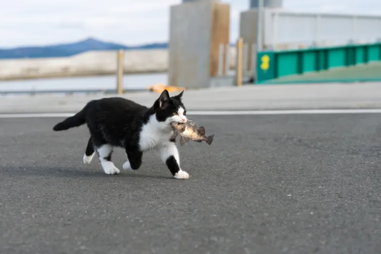 Od mjesta prepunog &scaron;takorima do vrata pakla: Ovo su najčudnije turističke destinacije na svijetu
