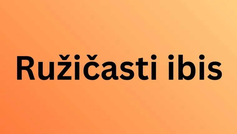 Samo će pravi stručnjak moći prepoznati ove ružičaste životinje: Pitanja su jako zahtjevna