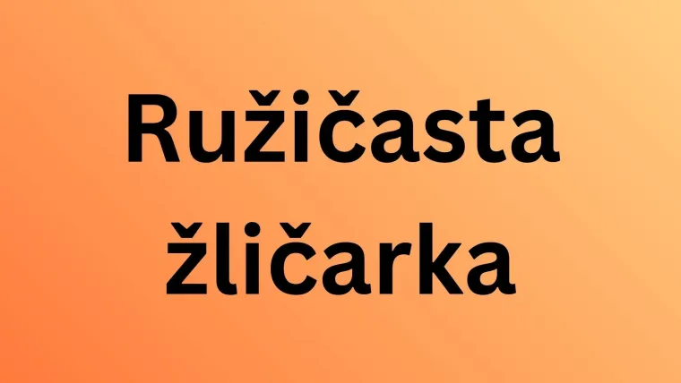 Samo će pravi stručnjak moći prepoznati ove ružičaste životinje: Pitanja su jako zahtjevna