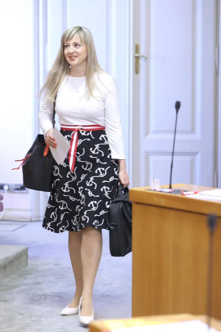 Izdanja Martine Vla&scaron;ić Iljkić: U Saboru dotjerana od glave do pete, a &scaron;tikle su joj za&scaron;titni znak