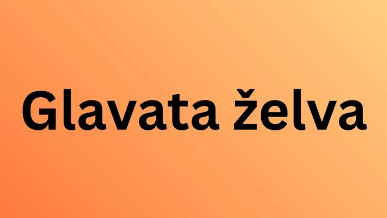 Ako voli&scaron; geografiju sigurno će&scaron; rasturiti na kvizu o Jadranskom moru: Neka pitanja su ba&scaron; opaka