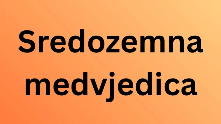 Ako voli&scaron; geografiju sigurno će&scaron; rasturiti na kvizu o Jadranskom moru: Neka pitanja su ba&scaron; opaka