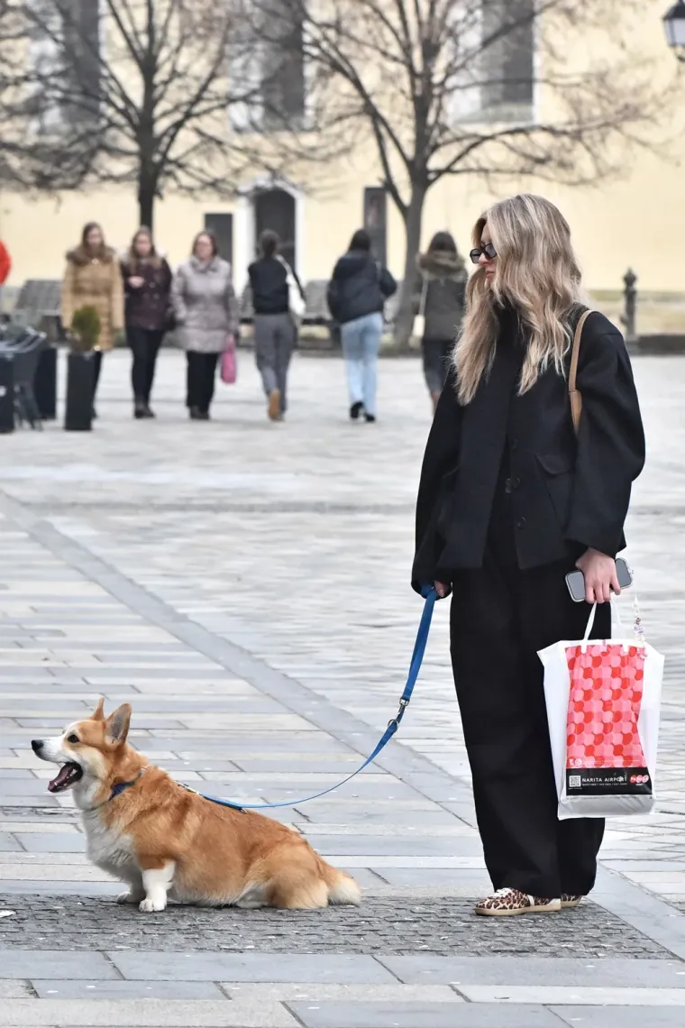 Modno osvije&scaron;tene Varaždinke preuzele Korzo: Za ovim damama se okretao cijeli grad