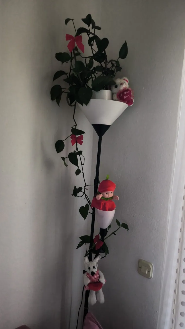 Otporni srcoliki listovi: Donosimo fotografije va&scaron;ih predivnih zlatnih puzavaca