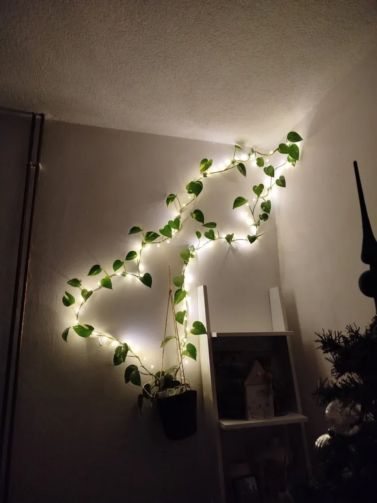 Otporni srcoliki listovi: Donosimo fotografije va&scaron;ih predivnih zlatnih puzavaca