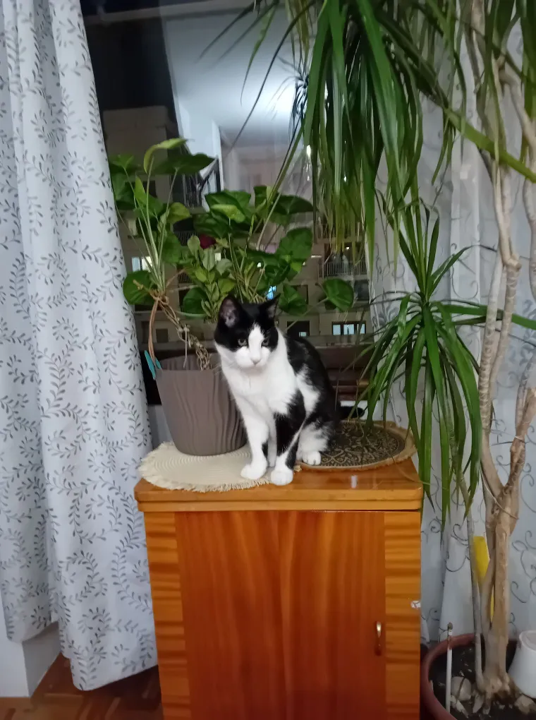 Najdraži životni suputnici: Poslali ste tisuće fotografija, te&scaron;ka smo srca izdvojili njih 100