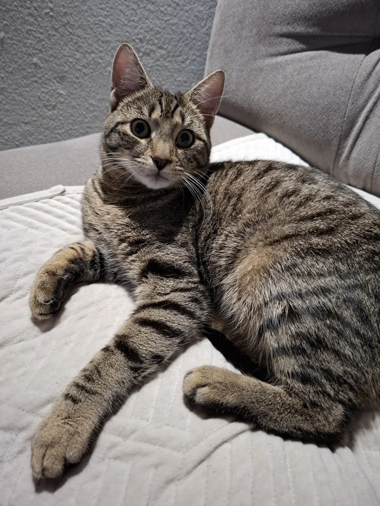 Najdraži životni suputnici: Poslali ste tisuće fotografija, te&scaron;ka smo srca izdvojili njih 100