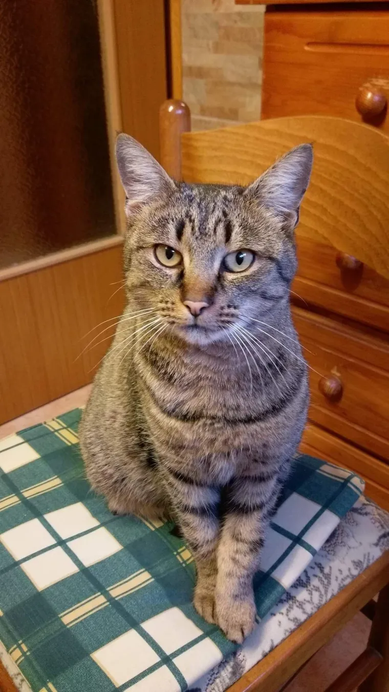 Najdraži životni suputnici: Poslali ste tisuće fotografija, te&scaron;ka smo srca izdvojili njih 100