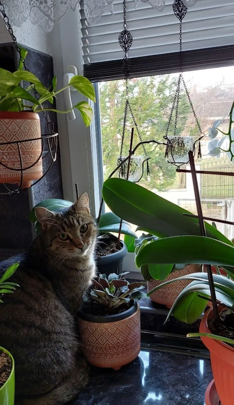 Najdraži životni suputnici: Poslali ste tisuće fotografija, te&scaron;ka smo srca izdvojili njih 100