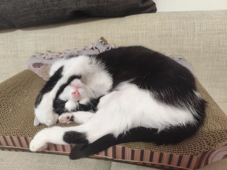 Najdraži životni suputnici: Poslali ste tisuće fotografija, te&scaron;ka smo srca izdvojili njih 100