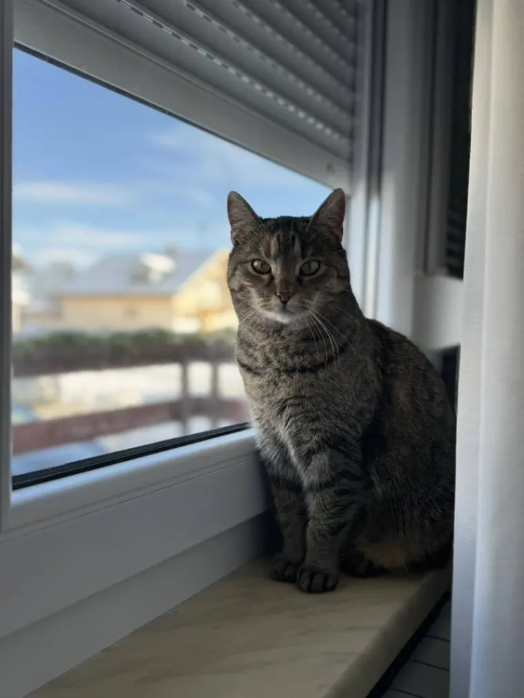 Najdraži životni suputnici: Poslali ste tisuće fotografija, te&scaron;ka smo srca izdvojili njih 100