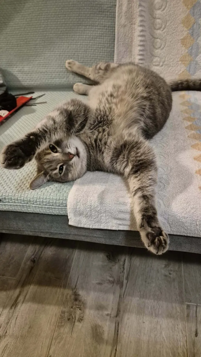 Najdraži životni suputnici: Poslali ste tisuće fotografija, te&scaron;ka smo srca izdvojili njih 100