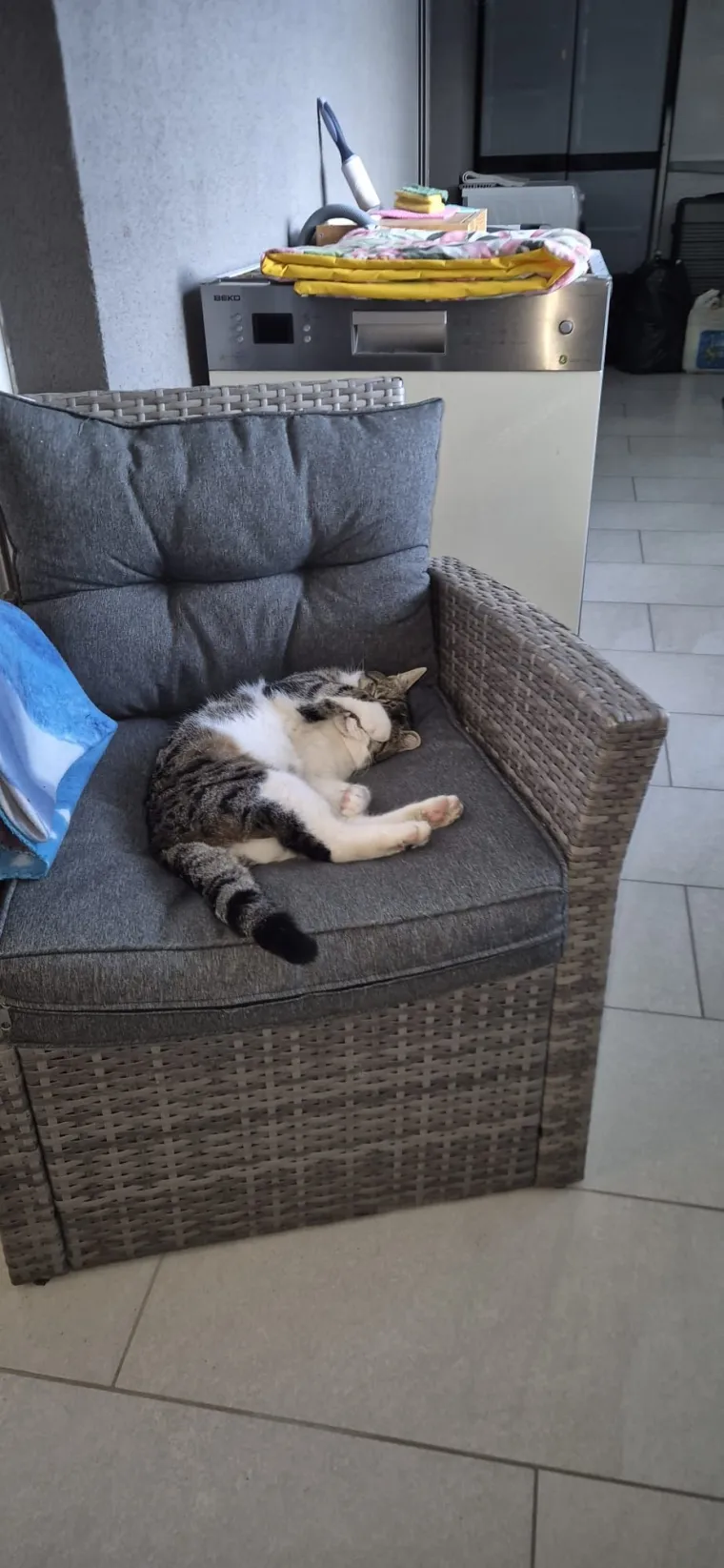 Najdraži životni suputnici: Poslali ste tisuće fotografija, te&scaron;ka smo srca izdvojili njih 100