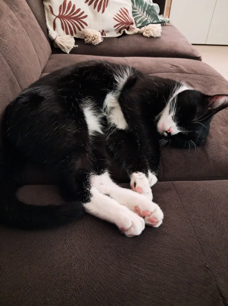 Najdraži životni suputnici: Poslali ste tisuće fotografija, te&scaron;ka smo srca izdvojili njih 100