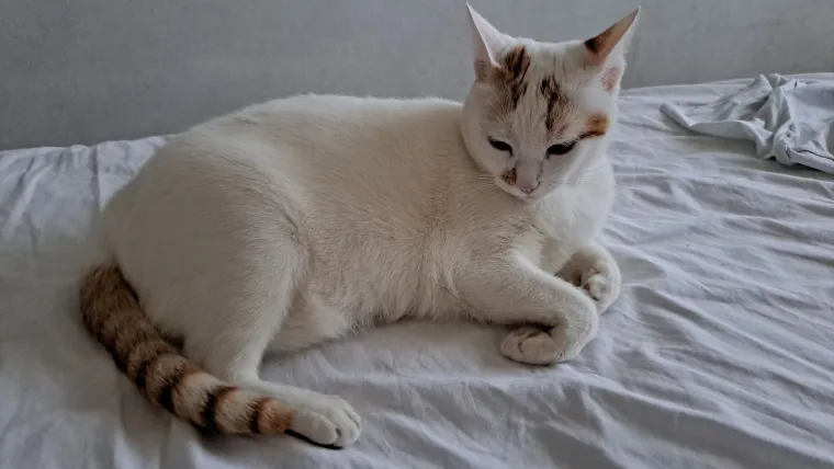 Najdraži životni suputnici: Poslali ste tisuće fotografija, te&scaron;ka smo srca izdvojili njih 100