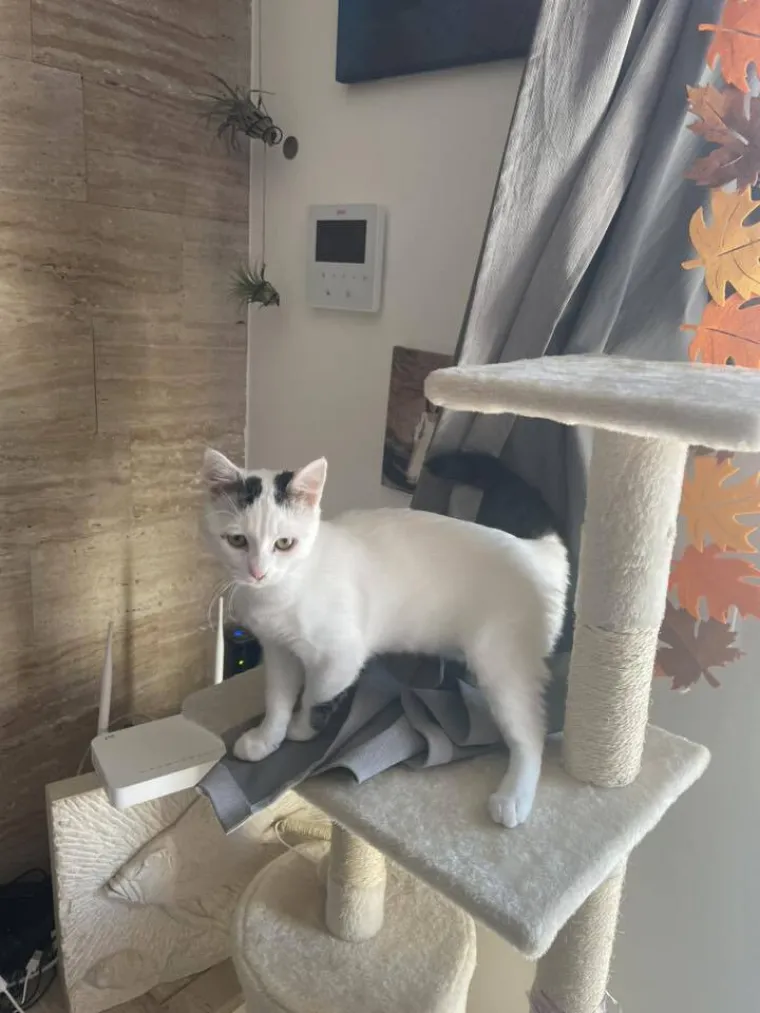 Najdraži životni suputnici: Poslali ste tisuće fotografija, te&scaron;ka smo srca izdvojili njih 100