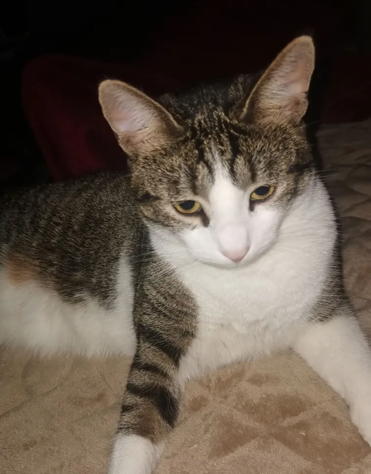 Najdraži životni suputnici: Poslali ste tisuće fotografija, te&scaron;ka smo srca izdvojili njih 100