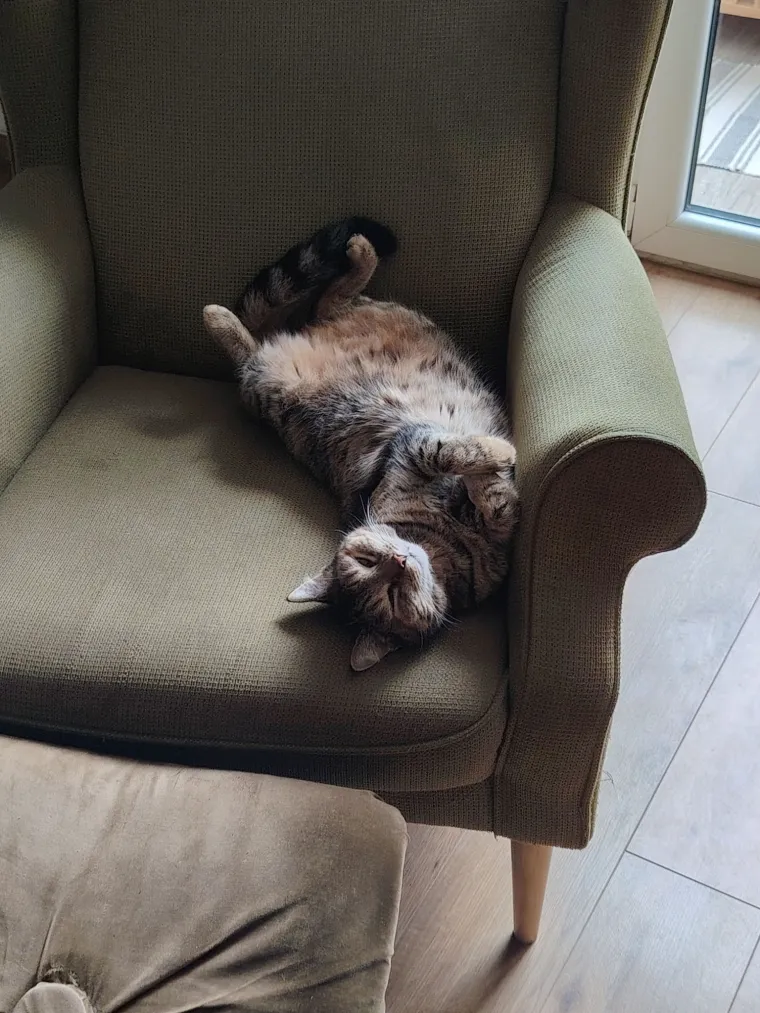 Najdraži životni suputnici: Poslali ste tisuće fotografija, te&scaron;ka smo srca izdvojili njih 100