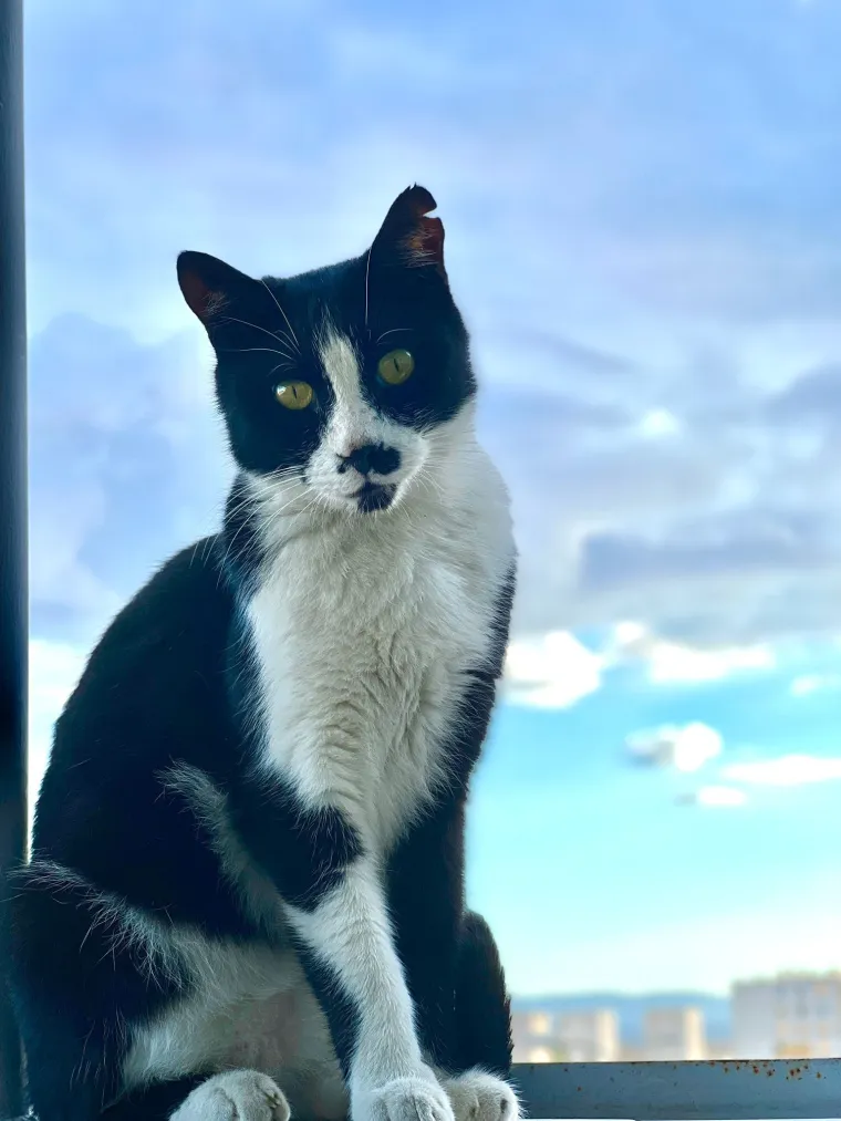 Najdraži životni suputnici: Poslali ste tisuće fotografija, te&scaron;ka smo srca izdvojili njih 100