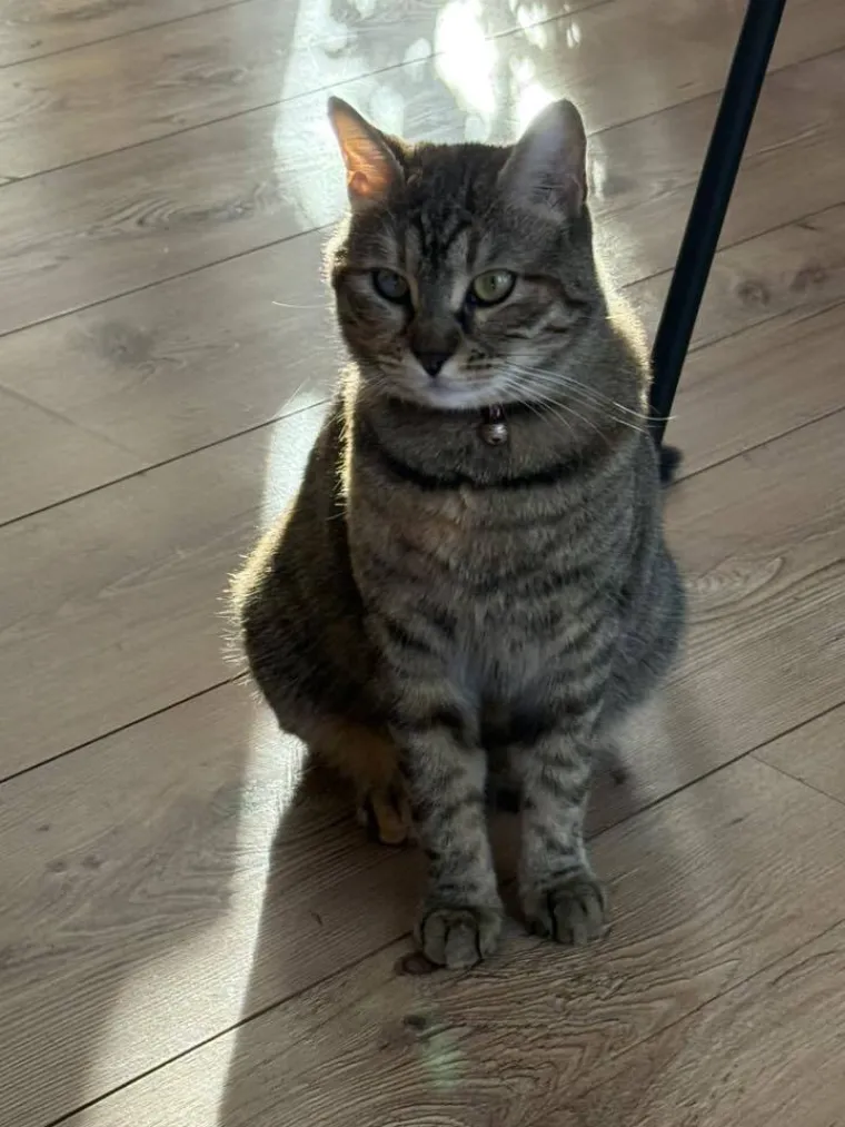 Najdraži životni suputnici: Poslali ste tisuće fotografija, te&scaron;ka smo srca izdvojili njih 100