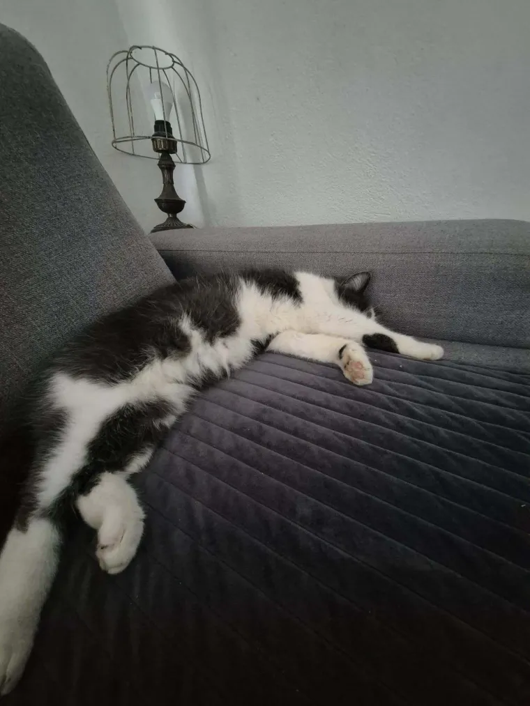 Najdraži životni suputnici: Poslali ste tisuće fotografija, te&scaron;ka smo srca izdvojili njih 100