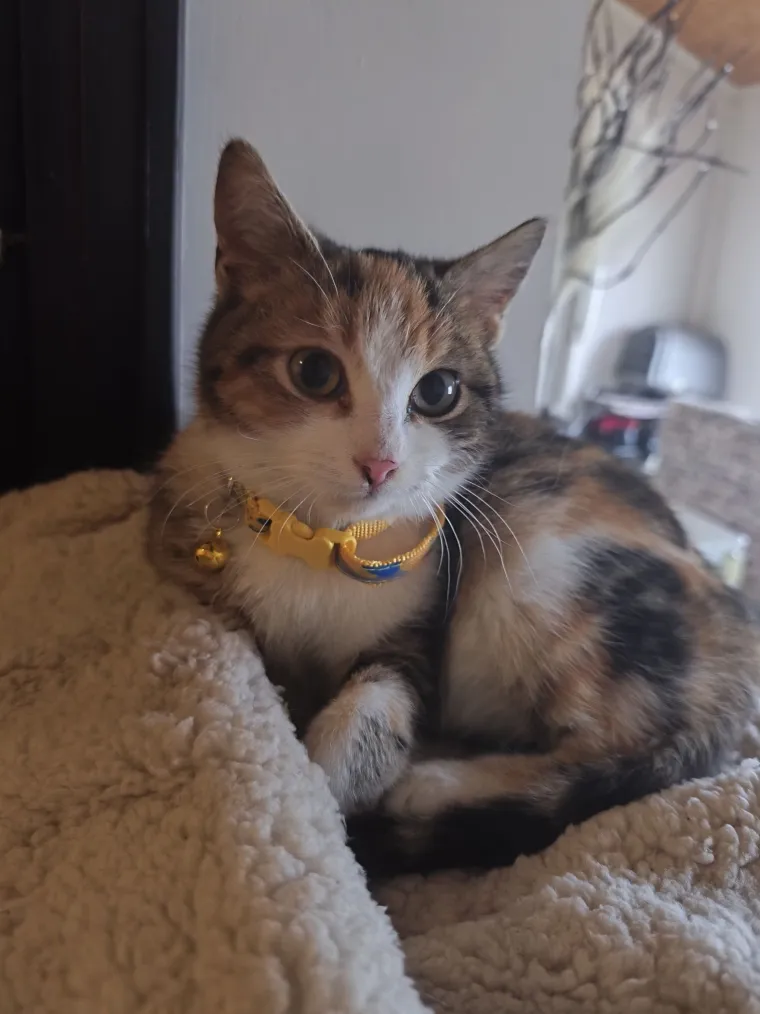 Najdraži životni suputnici: Poslali ste tisuće fotografija, te&scaron;ka smo srca izdvojili njih 100