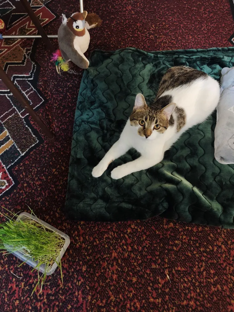 Najdraži životni suputnici: Poslali ste tisuće fotografija, te&scaron;ka smo srca izdvojili njih 100