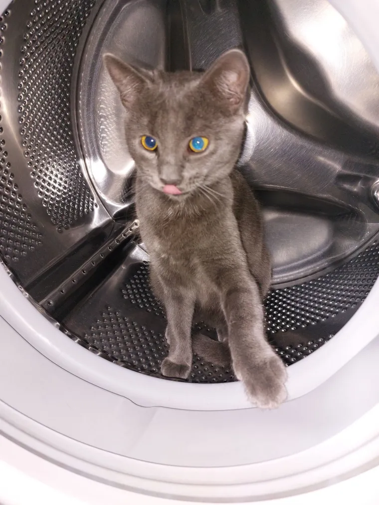 Najdraži životni suputnici: Poslali ste tisuće fotografija, te&scaron;ka smo srca izdvojili njih 100