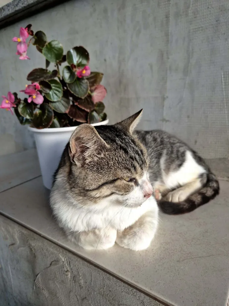 Najdraži životni suputnici: Poslali ste tisuće fotografija, te&scaron;ka smo srca izdvojili njih 100