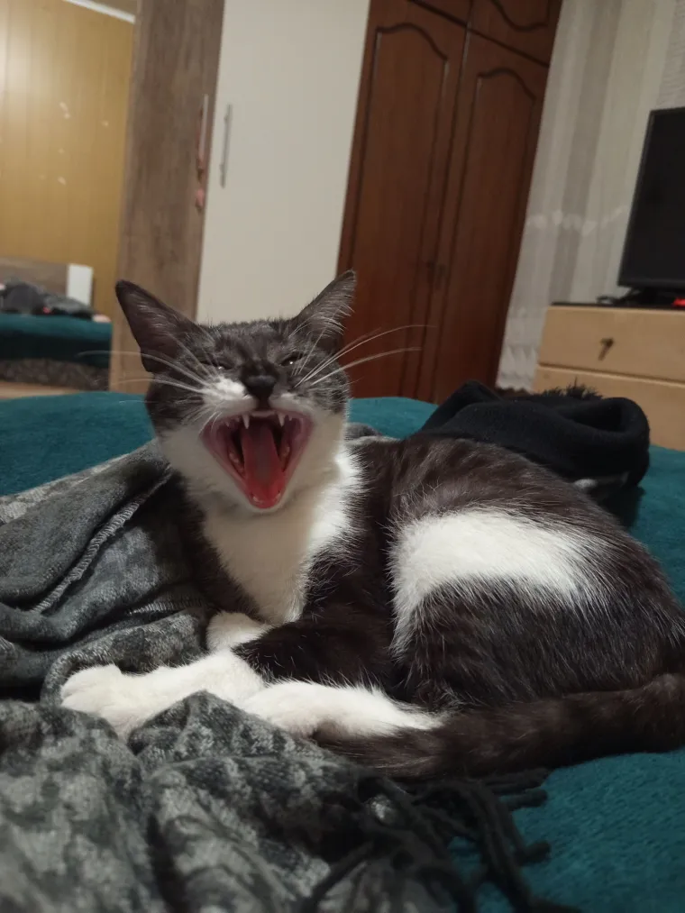 Najdraži životni suputnici: Poslali ste tisuće fotografija, te&scaron;ka smo srca izdvojili njih 100