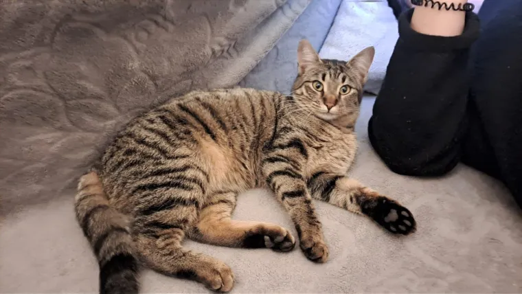 Najdraži životni suputnici: Poslali ste tisuće fotografija, te&scaron;ka smo srca izdvojili njih 100