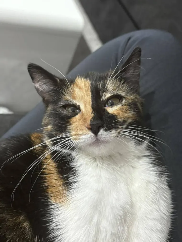 Najdraži životni suputnici: Poslali ste tisuće fotografija, te&scaron;ka smo srca izdvojili njih 100