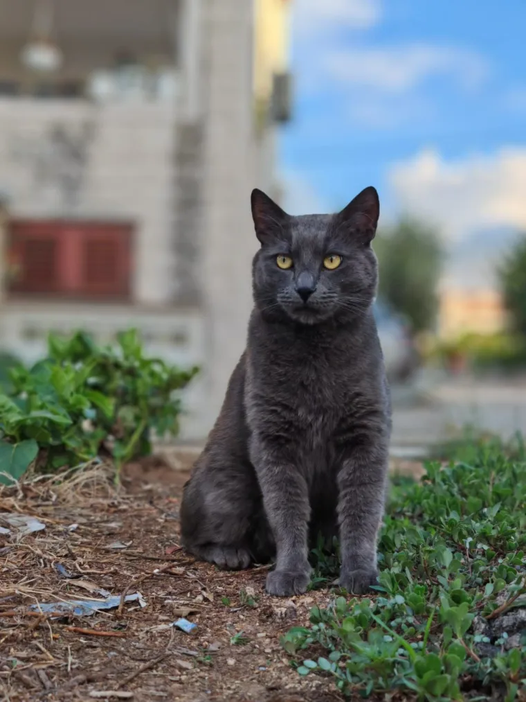 Najdraži životni suputnici: Poslali ste tisuće fotografija, te&scaron;ka smo srca izdvojili njih 100