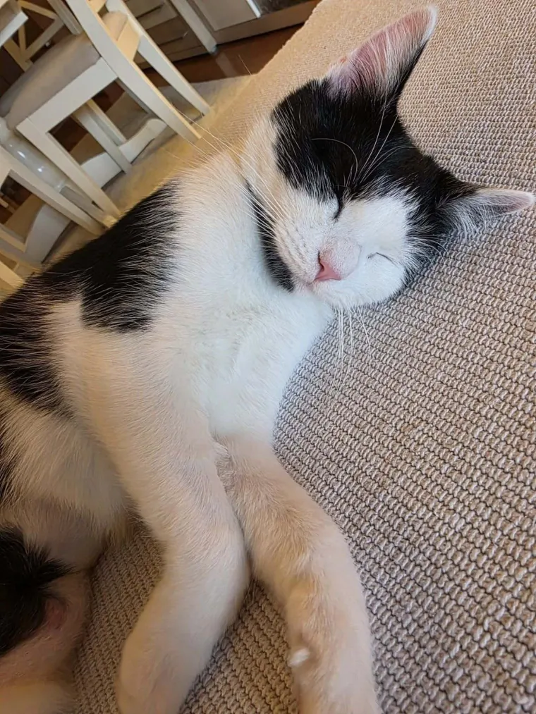 Najdraži životni suputnici: Poslali ste tisuće fotografija, te&scaron;ka smo srca izdvojili njih 100