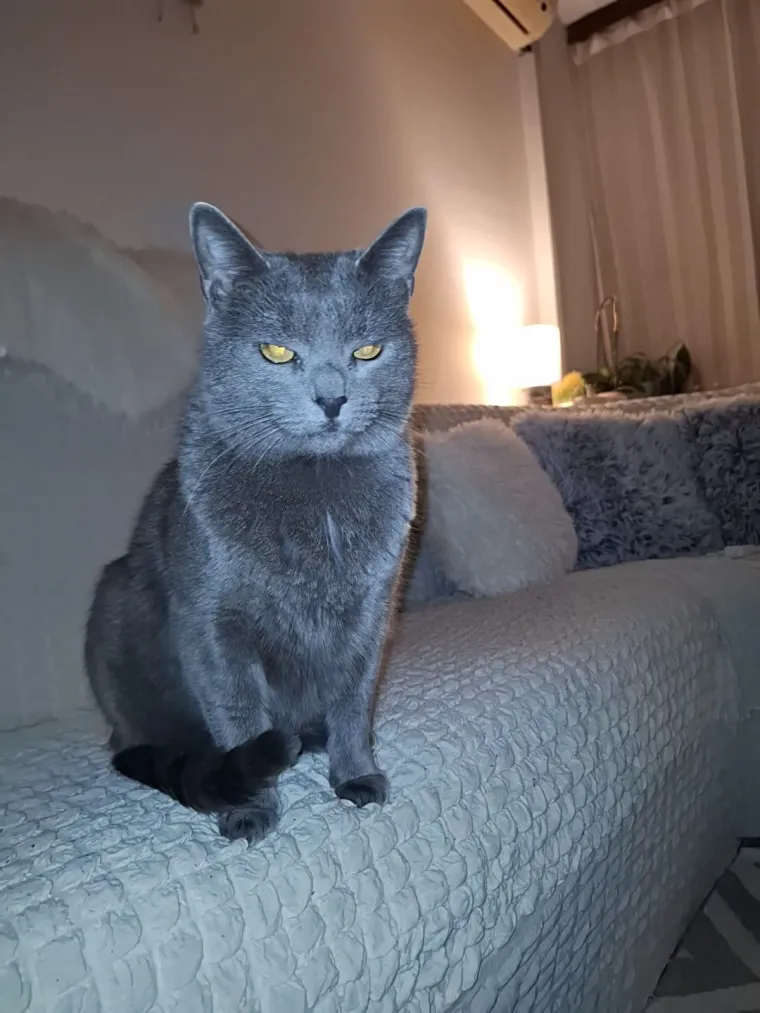 Najdraži životni suputnici: Poslali ste tisuće fotografija, te&scaron;ka smo srca izdvojili njih 100